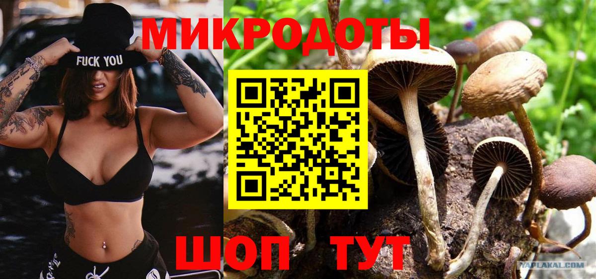 Сокол  Псилоцибиновые грибы ЛСД  Псилоцибиновые грибы Cubensis  Вход с VPN 