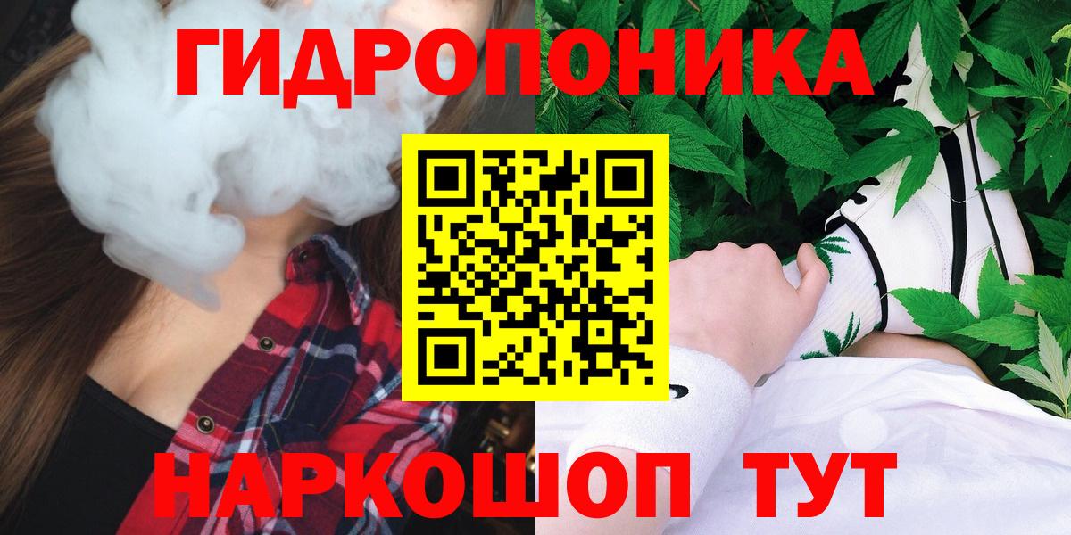 Конопля гибрид Сокол